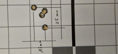 20240629_093211.jpg