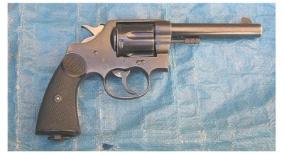 Colt right.JPG