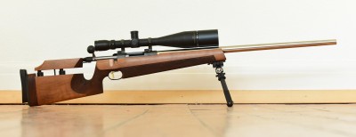 M595 in Walther stock.jpg